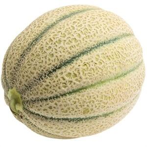 Cantaloupe