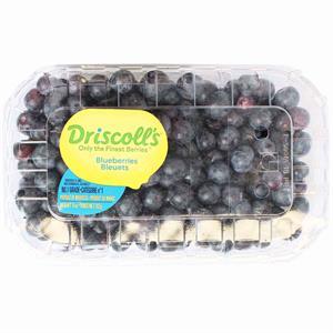Blueberries Pint